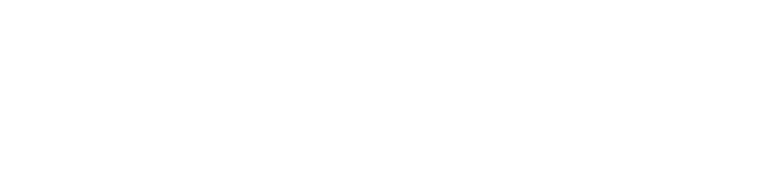 The Phoenix