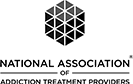 NA Logo